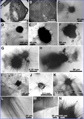 Illustration for article titled "Hairy Blobs" Discovered in Acidic Lake Could Have Evolved on Mars